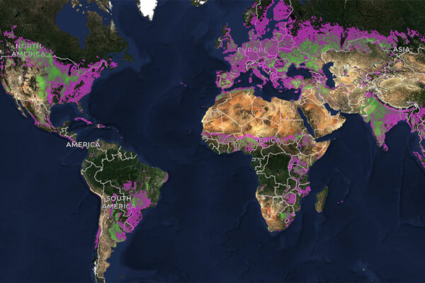 Boundaries of agricultural fields worldwide now publicly available