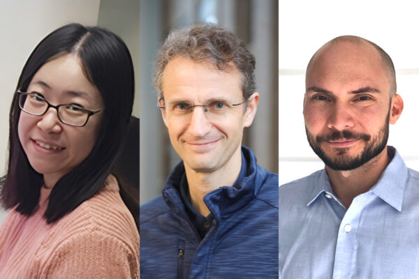 Genome-wide screen yields new gene therapies to protect against retinal degeneration 