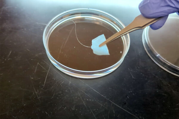 Synthetic biology leads to recyclable textiles