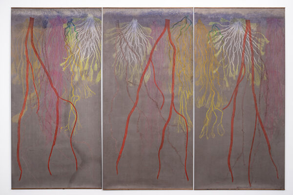 ‘Carolina Caycedo: Growing Deep Roots’
