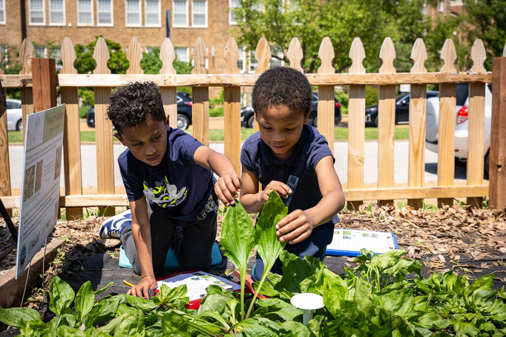 Two small children look at plants for a science experiment.