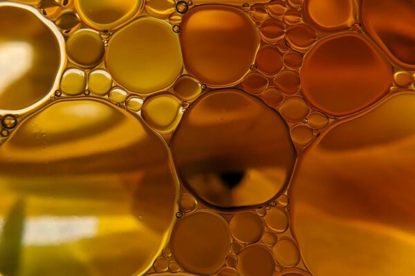 Inner life of cells under investigation