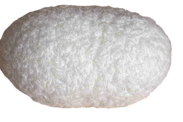 Silkworm cultivation predated the Silk Road in southern Central&nbsp;Asia