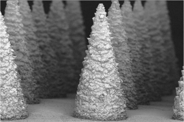 A painless punch with a microneedle patch could detect kidney disease earlier