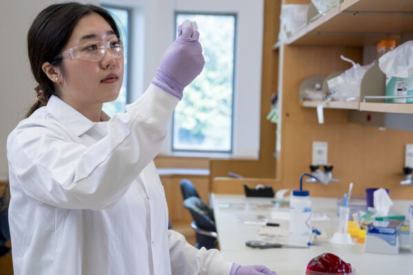A unique solution for bioelectronics: collagen and cacao butter