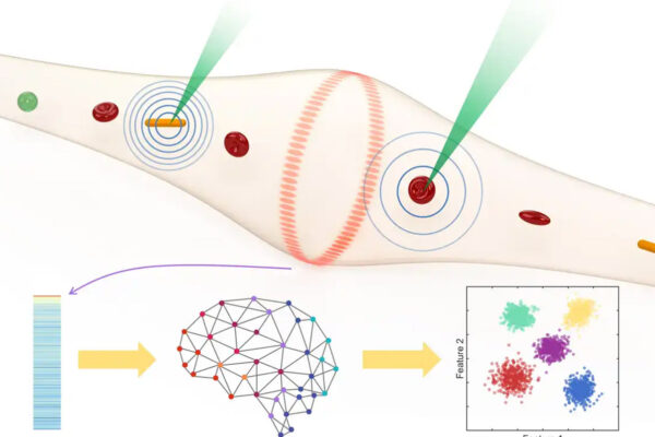 New sensor detects, classifies freely flowing particles without labels