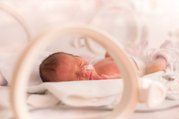 Gut microbiome features predict devastating disease affecting preemies