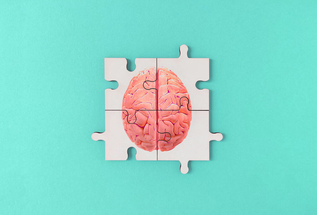 brain as a puzzle