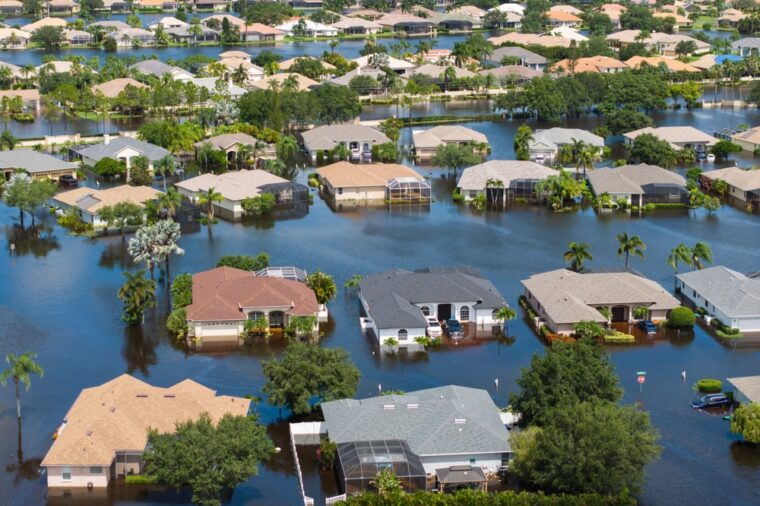 WashU Expert on family resilience during climate change